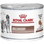 LATA ROYAL CANIN RECOVERY PERRO GATO 145 GR - Imagen 1
