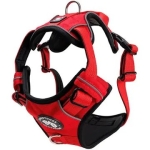 ARNES STREET DOG XL - Imagen 1